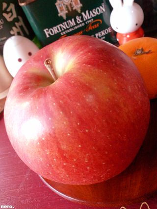 P1033908r.jpg