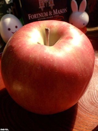 P1033911r.jpg