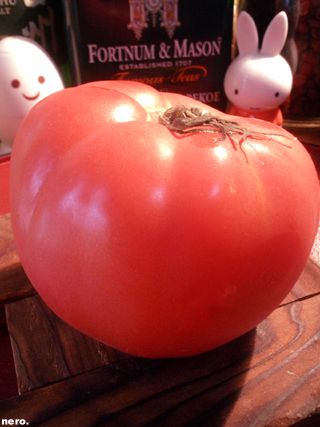 P1033971r.jpg