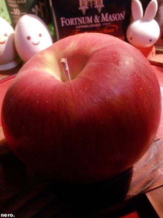 P1034040r.jpg