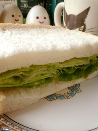 P1034330r.jpg