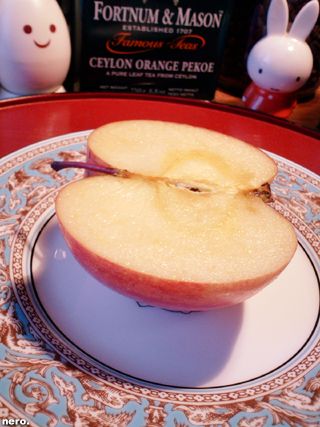 P1034282r.jpg