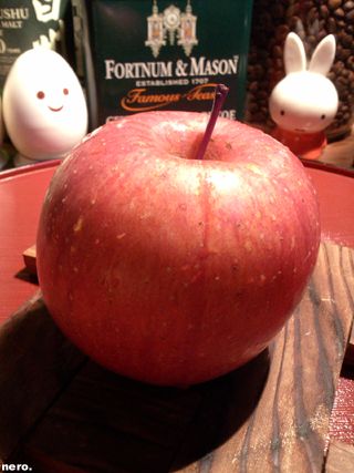 P1034280r.jpg