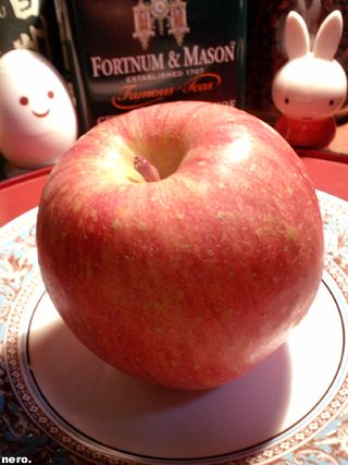 P1034301r.jpg