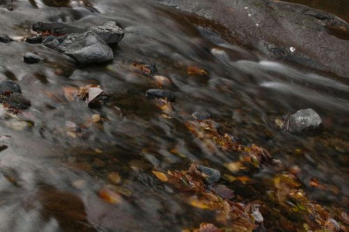 真野川渓谷、秋の落ち葉