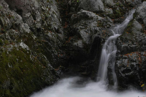 請戸川、写真秋