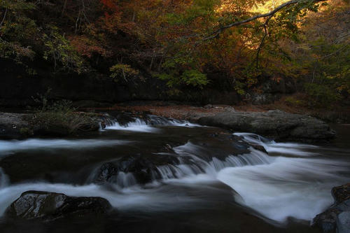 落葉、真野川渓谷