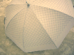 d20a0d59.gif