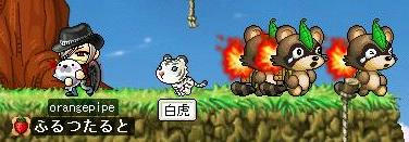 吾輩は白虎である　名前はまだない