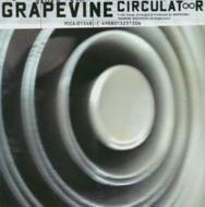 Circulator