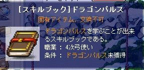これが　捨てると消えるという　ドラゴンパルスか