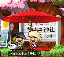 お茶席、私からはこう見えました