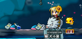 サメを狩るよ