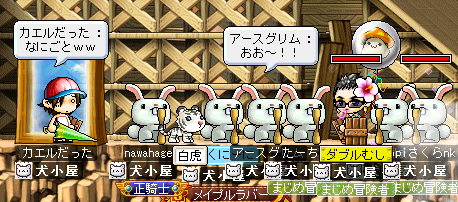 うさぎの国？