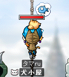 タマさん