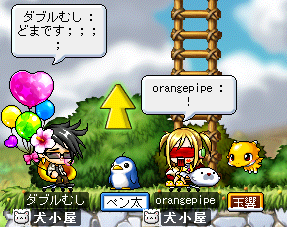 どまいりません！