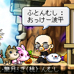 本来のふとんむしさん