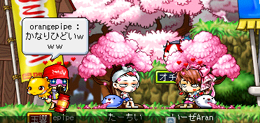 アザラシが･･･