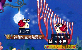 だから泳いでるんですってば！