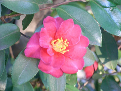 RIMG0020.JPG