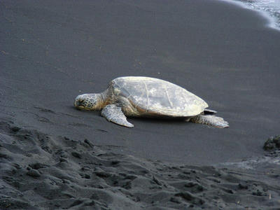 HAWAII011.jpg