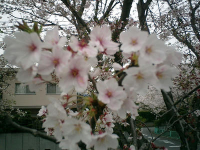 CIMG0162.JPG