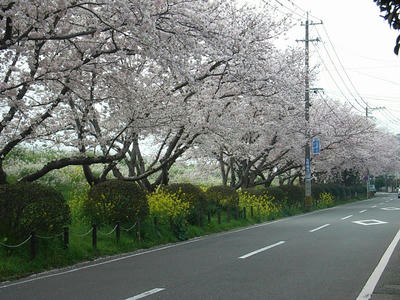 C-b07b.jpg