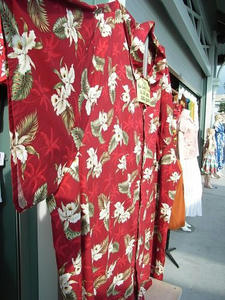 hawaii2009_16.jpg