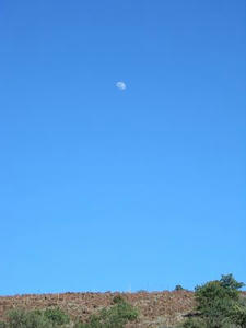 hawaii2009_32.jpg