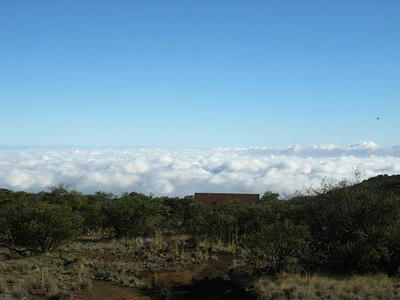 hawaii2009_29.jpg