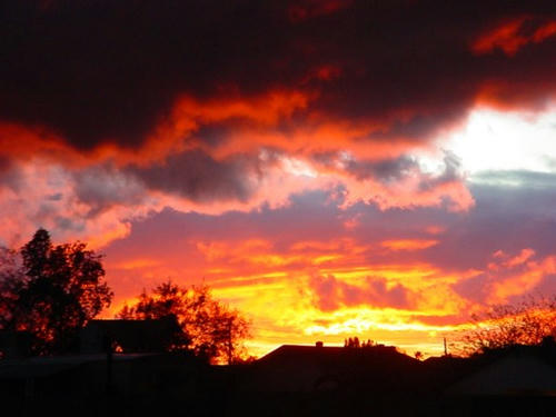 phoenix-storm15l.jpg