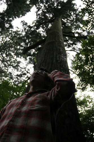 c6f62253.jpg