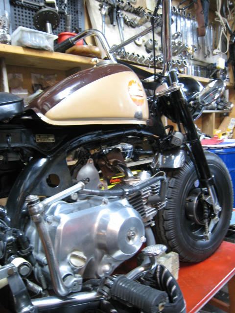 44a39234.jpg