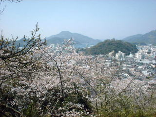 桜の頃はこんな風景