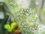 DSC03127s.jpg