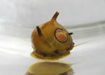 DSC03185s.jpg