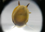 6078759b.jpg