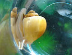 DSC03217s.JPG