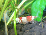 DSC03302s.jpg