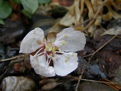 酔いが醒め　宴の終わり・・