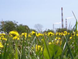 何気ない日常の中で・・