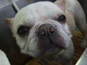 DSCF1325.jpg