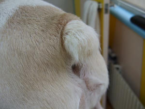 DSCF1327.jpg