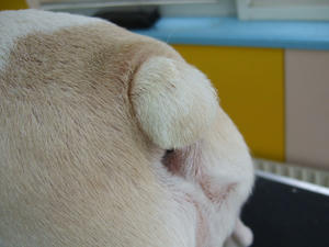 DSCF1328.jpg