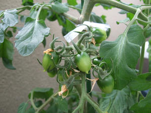 DSCF2198.JPG