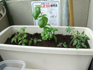 DSCF2199.JPG