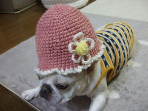 DSCF0416.jpg