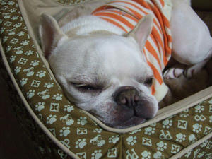 DSCF0914.jpg