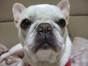 DSCF1025.jpg