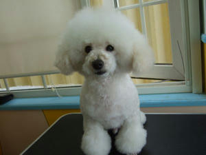 DSCF1030.jpg
